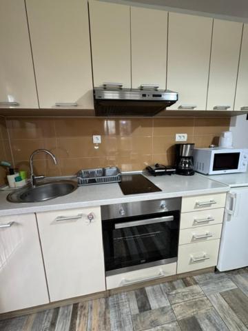 Apartments Paradise Licko Petrovo Selo Εξωτερικό φωτογραφία